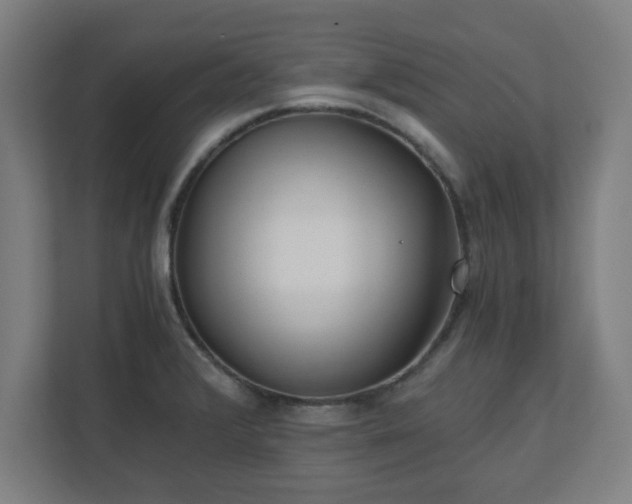 X0000110871376200906251220