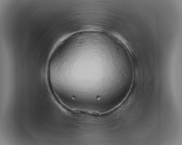 X0000110871379200906251220