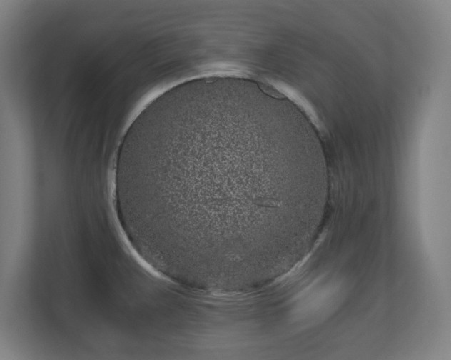 X0000110871383200906251220