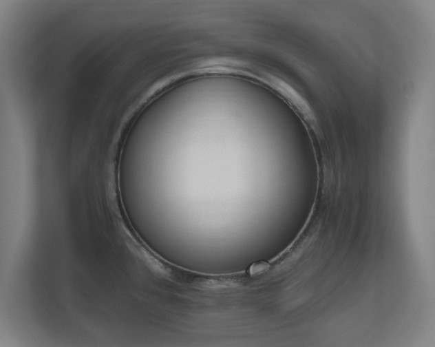 X0000110871384200906251220