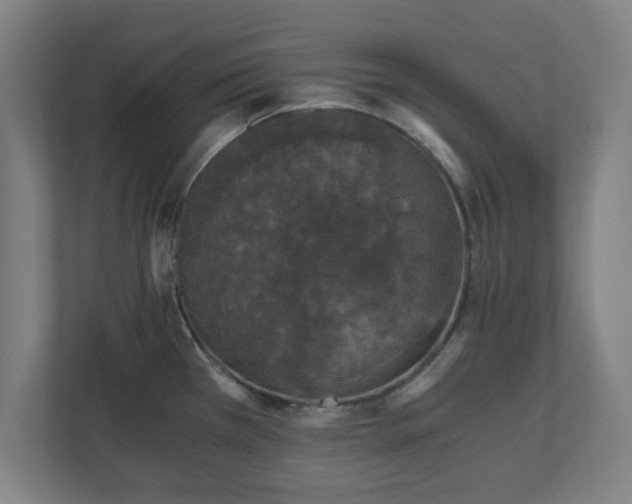 X0000110871385200906251220