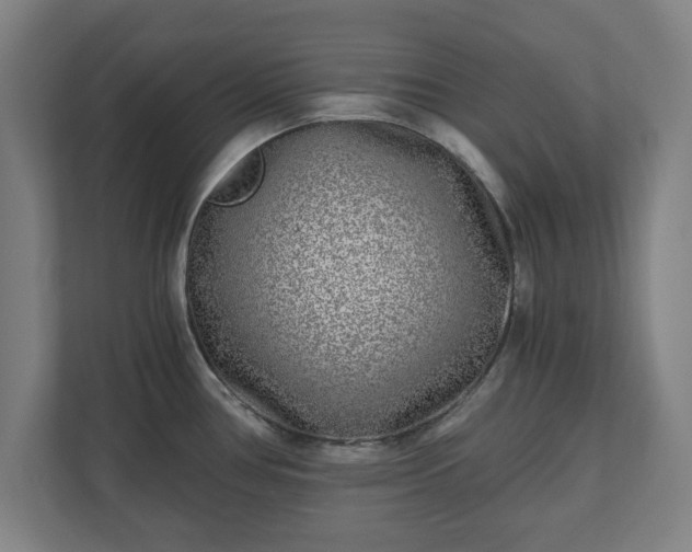 X0000110871386200906251220