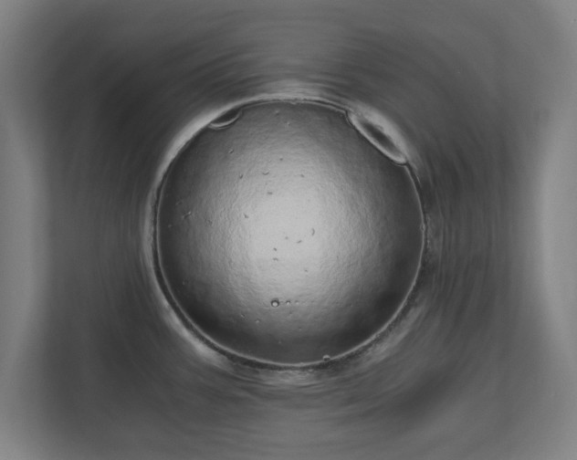 X0000110871387200906251220