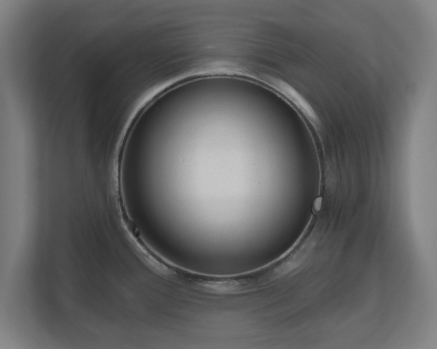 X0000110871388200906251220