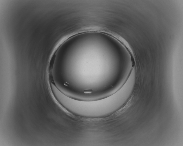 X0000110871389200906251220