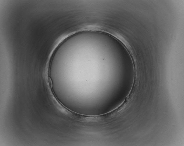 X0000110871392200906251219