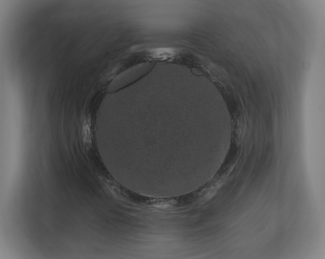 X0000110871394200906251219