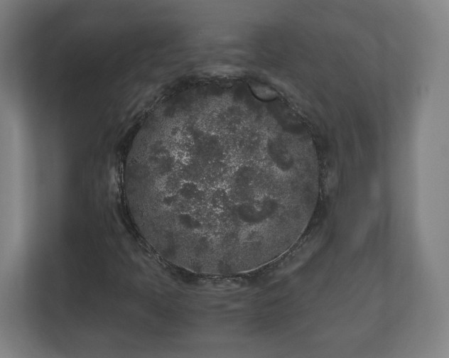 X0000110871397200906251219