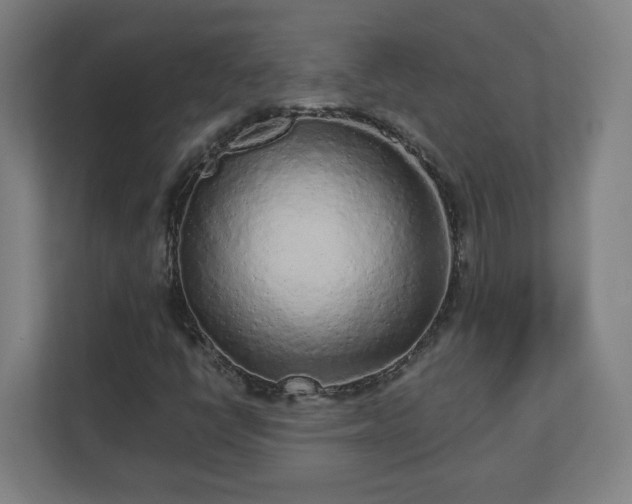 X0000110871398200906251219