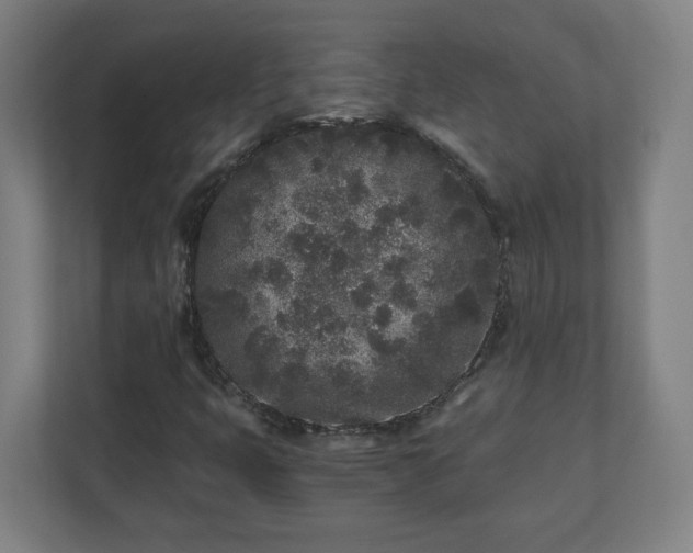 X0000110871399200906251219