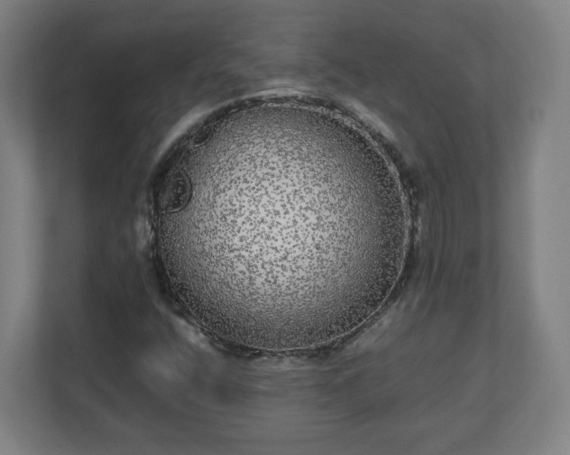 X0000110871400200906251219