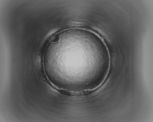 X0000110871402200906251219