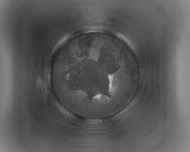 X0000110871403200906251219