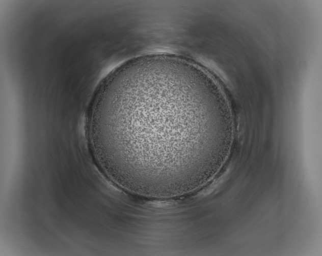 X0000110871404200906251219