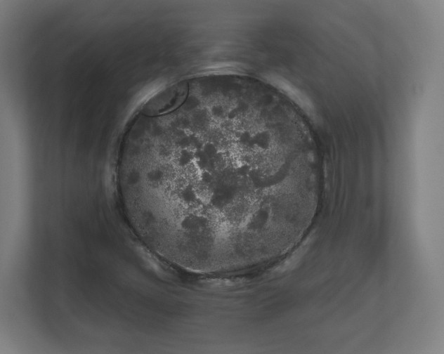 X0000110871405200906251219