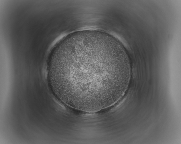 X0000110871406200906251219