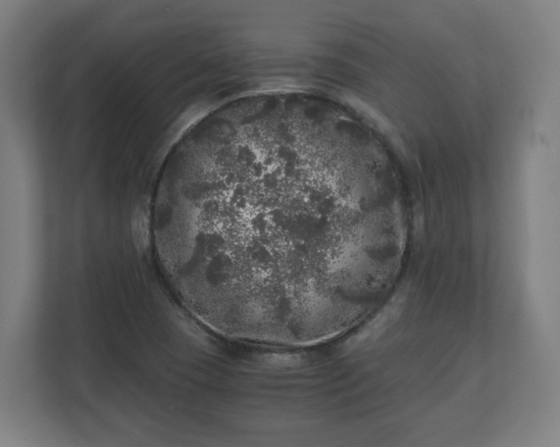 X0000110871409200906251219