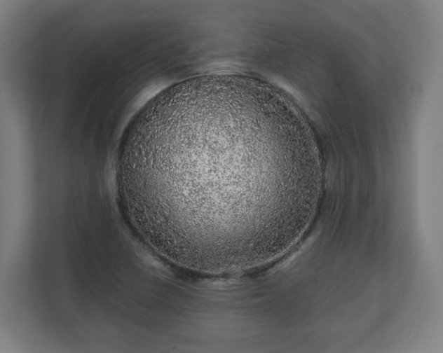 X0000110871410200906251219