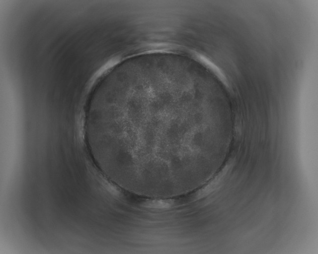 X0000110871411200906251219