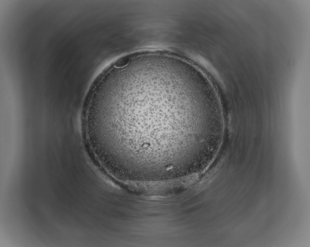 X0000110871412200906251219