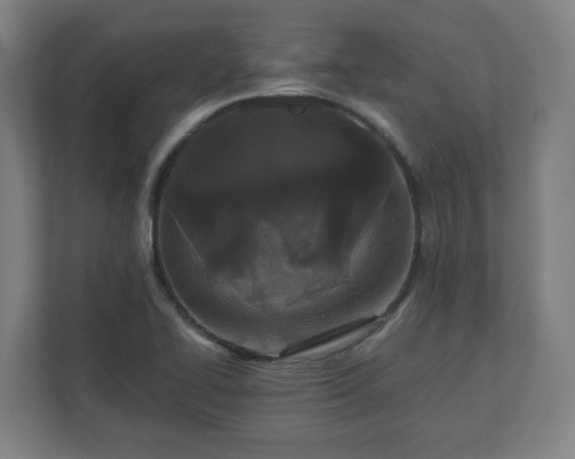 X0000110871414200906251219