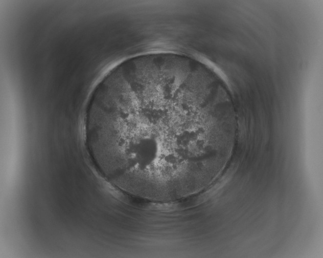 X0000110871415200906251219