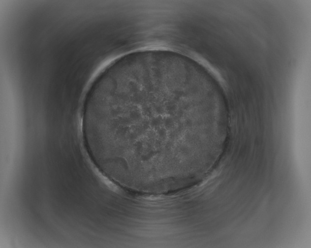 X0000110871416200906251219