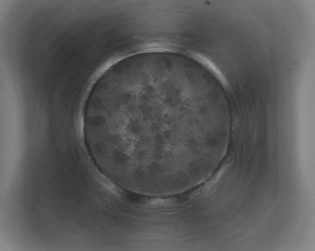 X0000110871419200906251219