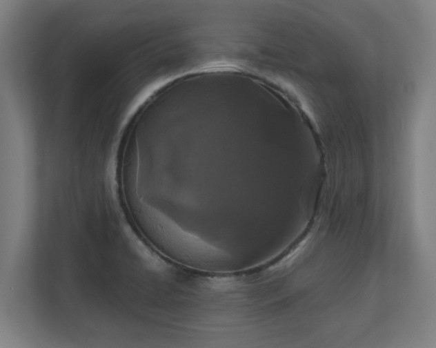 X0000110871422200906251219