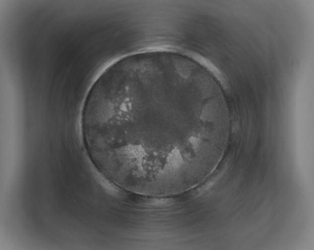 X0000110871423200906251219