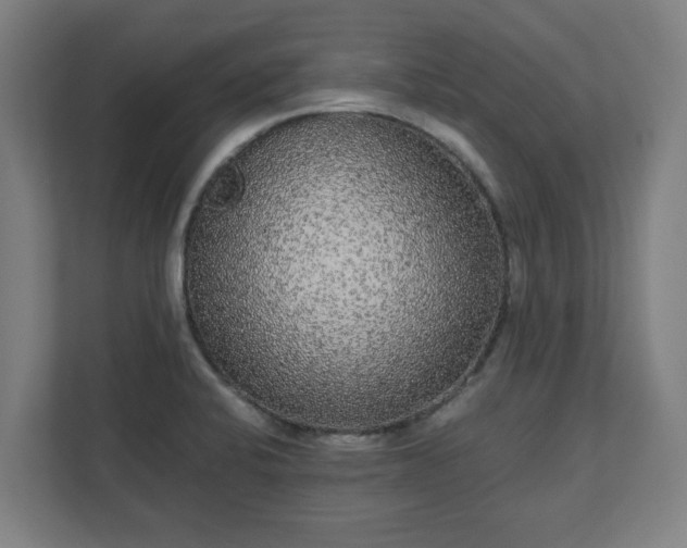 X0000110871424200906251219