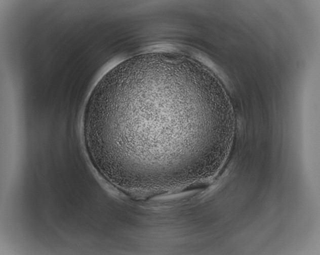 X0000110871426200906251219