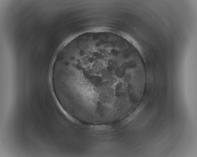 X0000110871429200906251219