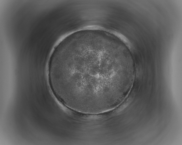 X0000110871430200906251219