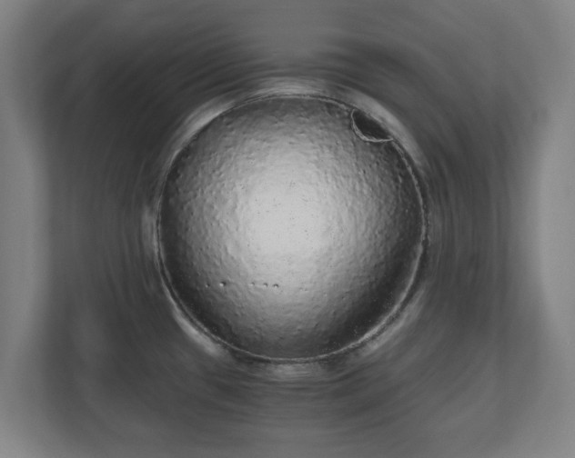 X0000110871433200906251219