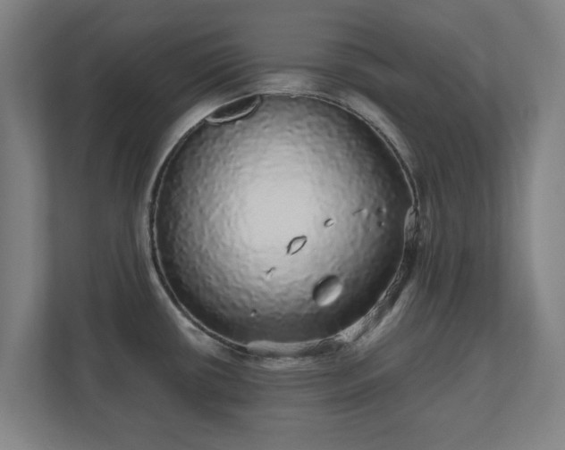 X0000110871434200906251219