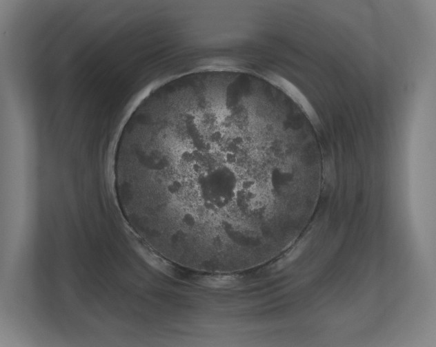 X0000110871435200906251219