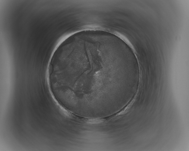 X0000110871440200906251219