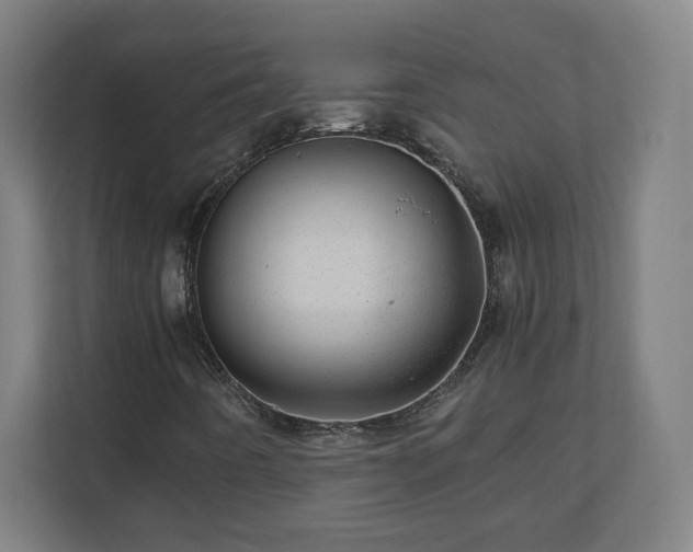 X0000110871442200906251219