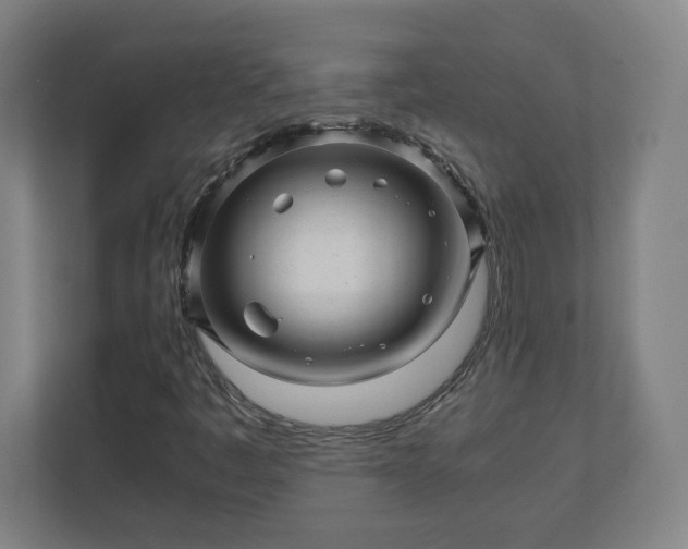 X0000110871445200906251219