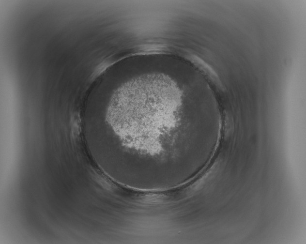 X0000110871449200906251219