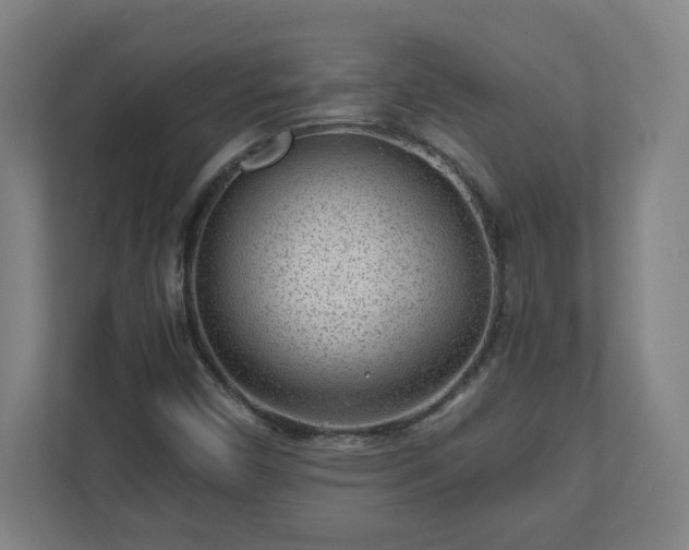 X0000110871450200906251219