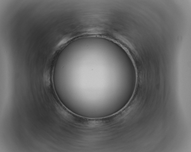 X0000110871451200906251219