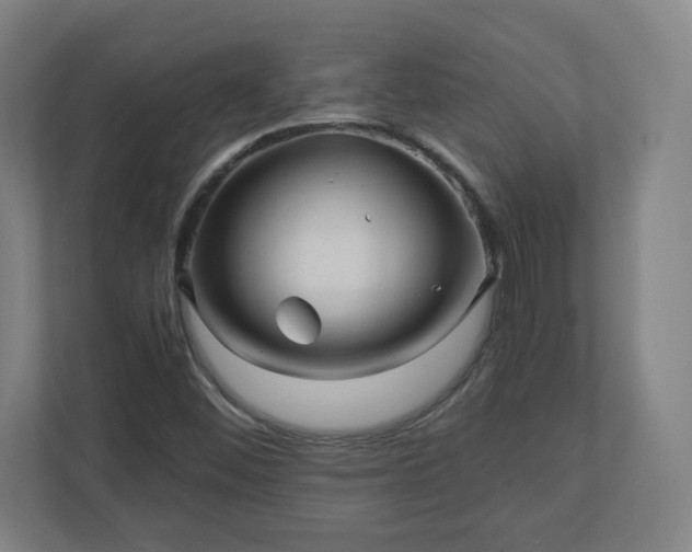 X0000110871452200906251219