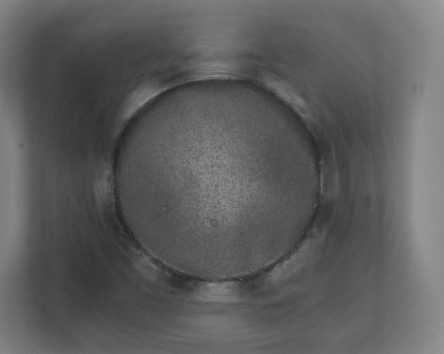 X0000110871453200906251219