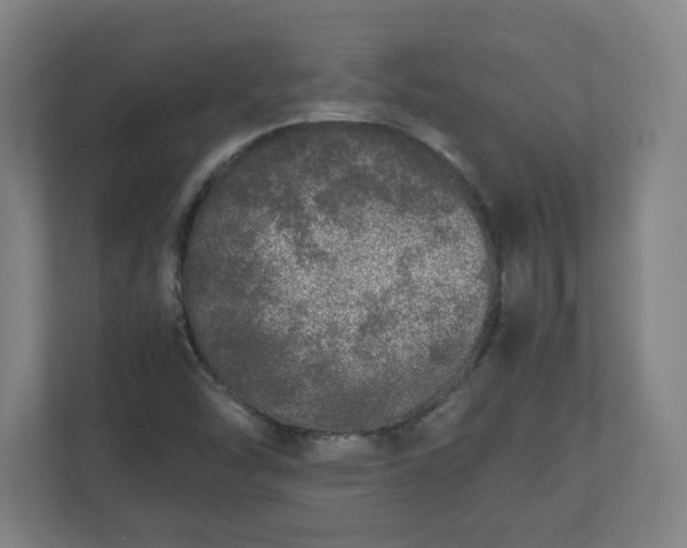 X0000110871454200906251219