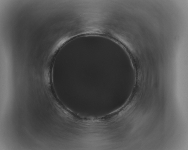 X0000110871455200906251219