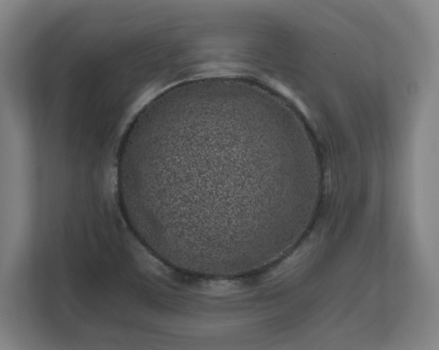 X0000110871459200906251219