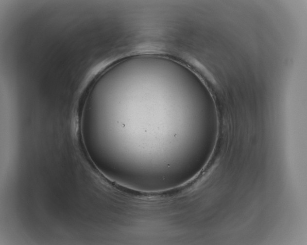 X0000110871461200906251219