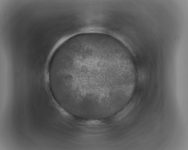 X0000110871462200906251219